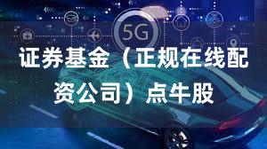 证券基金（正规在线配资公司）点牛股