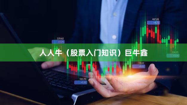 人人牛（股票入门知识）巨牛鑫