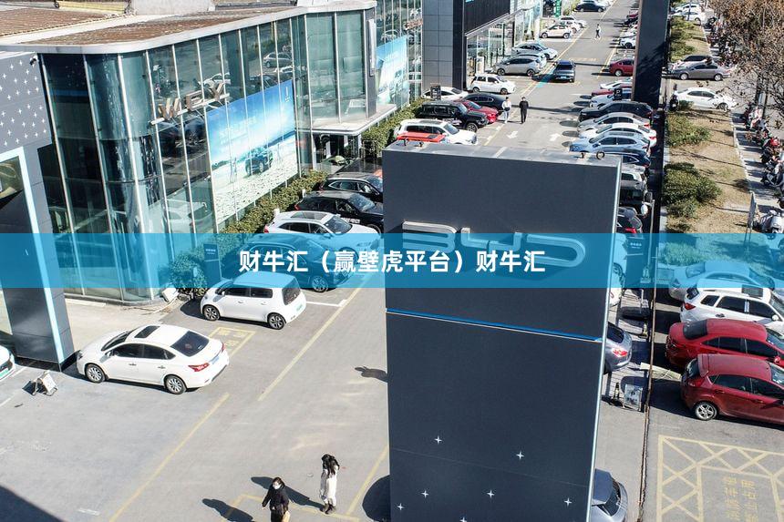 财牛汇（赢壁虎平台）财牛汇