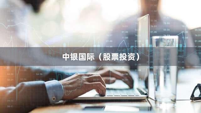 中银国际（股票投资）