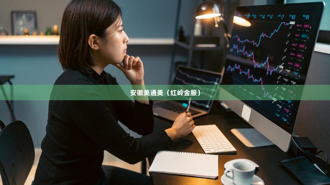 安徽美通美（红岭金服）