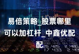 易倍策略_股票哪里可以加杠杆_中鑫优配
