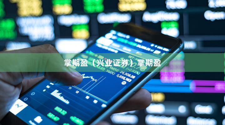 掌期盈（兴业证券）掌期盈