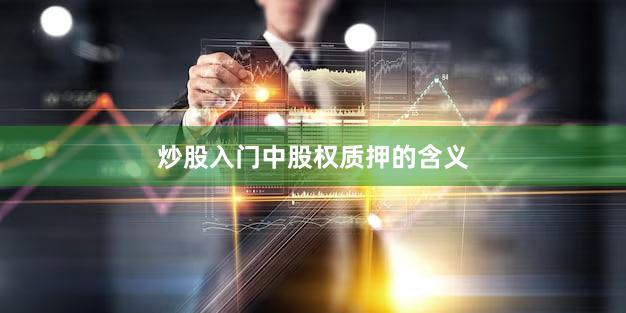 炒股入门中股权质押的含义