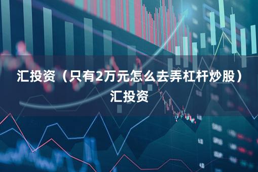 汇投资（只有2万元怎么去弄杠杆炒股）汇投资