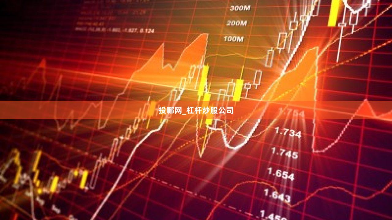 投哪网_杠杆炒股公司