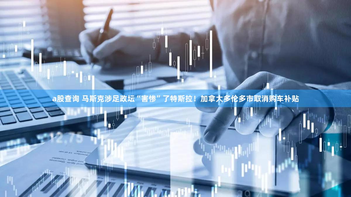 a股查询 马斯克涉足政坛“害惨”了特斯拉！加拿大多伦多市取消购车补贴