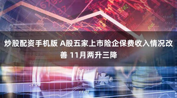 炒股配资手机版 A股五家上市险企保费收入情况改善 11月两升三降