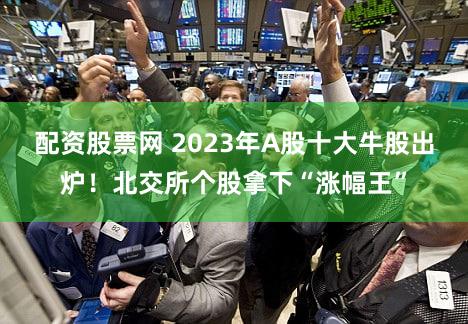 配资股票网 2023年A股十大牛股出炉！北交所个股拿下“涨幅王”