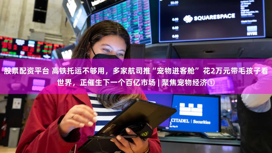 股票配资平台 高铁托运不够用,多家航司推“宠物进客舱” 花2万元带毛孩子看世界,正催生下一个百亿市场 | 聚焦宠物经济①