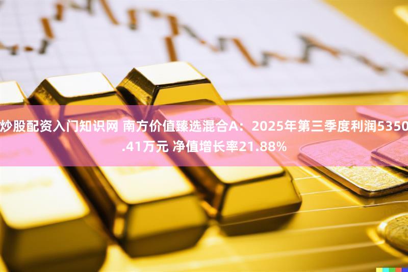 炒股配资入门知识网 南方价值臻选混合A：2025年第三季度利润5350.41万元 净值增长率21.88%