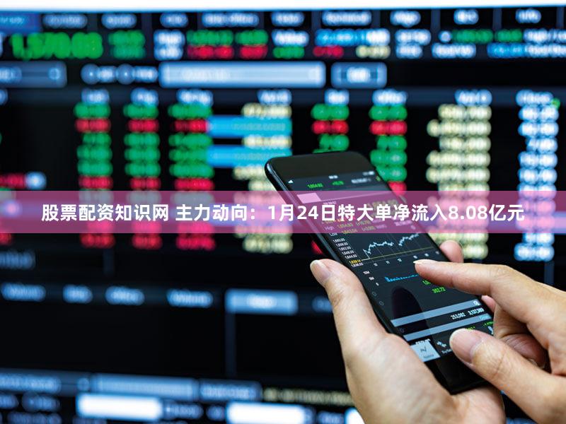 股票配资知识网 主力动向：1月24日特大单净流入8.08亿元