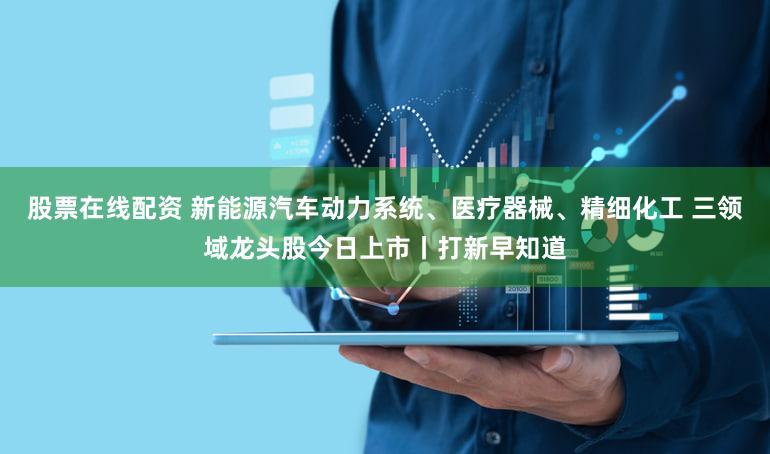 股票在线配资 新能源汽车动力系统、医疗器械、精细化工 三领域龙头股今日上市丨打新早知道