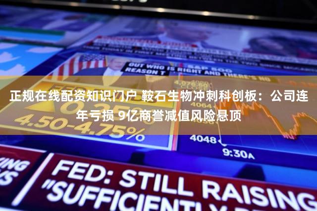 正规在线配资知识门户 鞍石生物冲刺科创板:公司连年亏损 9亿商誉减值风险悬顶