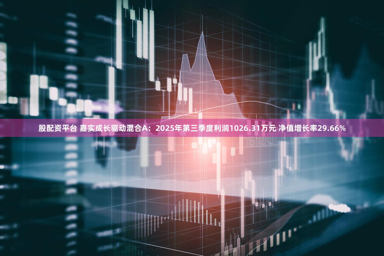 股配资平台 嘉实成长驱动混合A：2025年第三季度利润1026.31万元 净值增长率29.66%